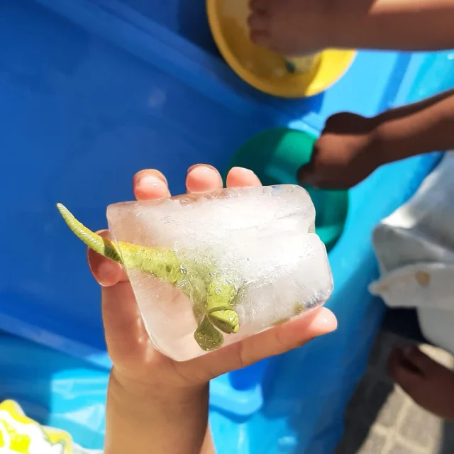 Thema: Oef wat warm! 🌞
Dus tijd voor iets verkoelends en spannends bij peuteropvang Sneeuwgansstraat! ❄️

De stagiaire bedacht een superleuke ijskoude ontdekkingstocht als examenopdracht. In grote ijsblokken zaten mysterieuze verrassingen verstopt… 🧊👀

Wat zit er in dat ijs? Met warm water, nieuwsgierige handjes en een flinke dosis geduld ontdekten ze langzaam hoe het ijs smolt en wat er tevoorschijn kwam!

Een speelse manier om te leren over warm en koud, smelten en water en vooral: samen plezier maken! 🥰

#kleinalkmaar #sneeuwgansstraat #oeffwatwarm #ontdekkenmetplezier #ijspretvoorpeuters #warmenkoudontdekken #lerenmetpeuters