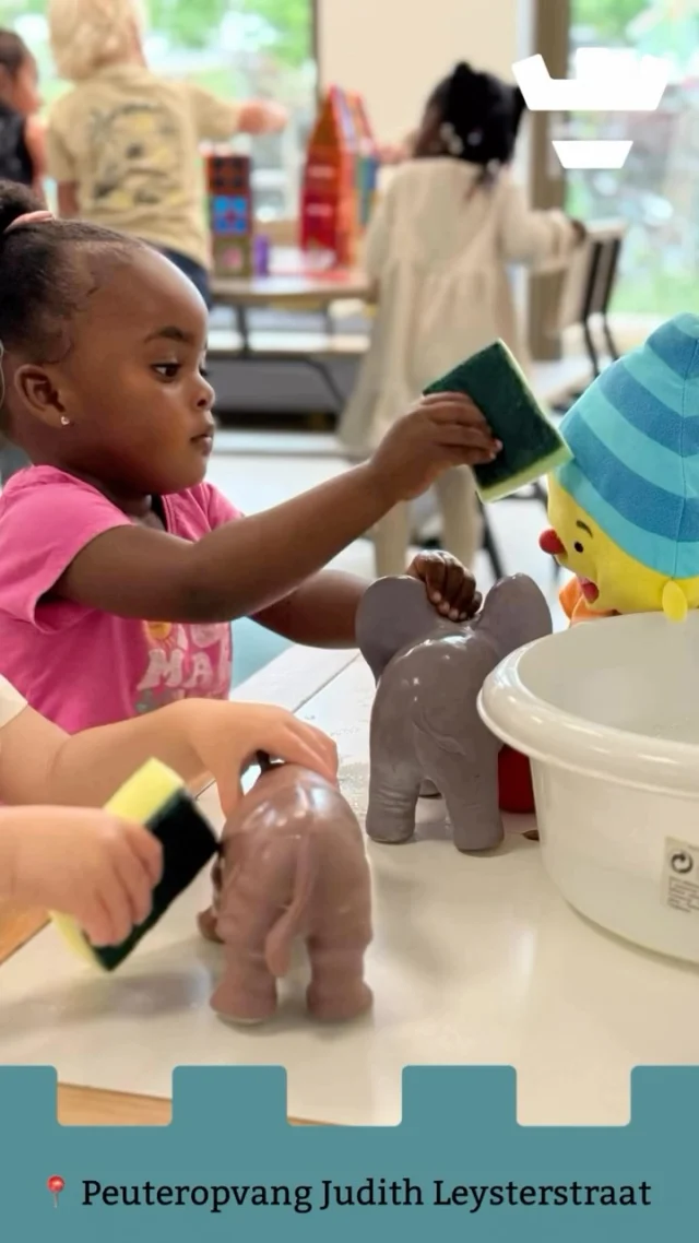 Bij peuteropvang Judith Leysterstraat krijgen de speelgoeddiertjes een sopje! 🧼 

De kinderen maken samen de beestjes schoon met sponsjes en water en wat blijkt, spel is ongemerkt ook leren.

Dit helpt de kinderen met hun:
👧🏼 Fijne motoriek: Handen wriemelen, spons vasthouden
👦🏻 (Taal)ontwikkeling: Woorden als nat, droog, vies en schoon oefenen
🧒🏽 Oorzaak & gevolg: Wrijven = schoon resultaat
👩🏾 Sociaal samenspel: Helpen, delen en samen doen

Bij Klein Alkmaar is spelen net zo vaak ontdekken en ontwikkelen, precies zoals met dit schoonmaakspel!

#kleinalkmaarspel #peuteropvangalkmaar #spelenderwijsontwikkelen #motoriekspel #taalontwikkelingvanhetkind #oorzaakengevolg #samenlerenbeginthier