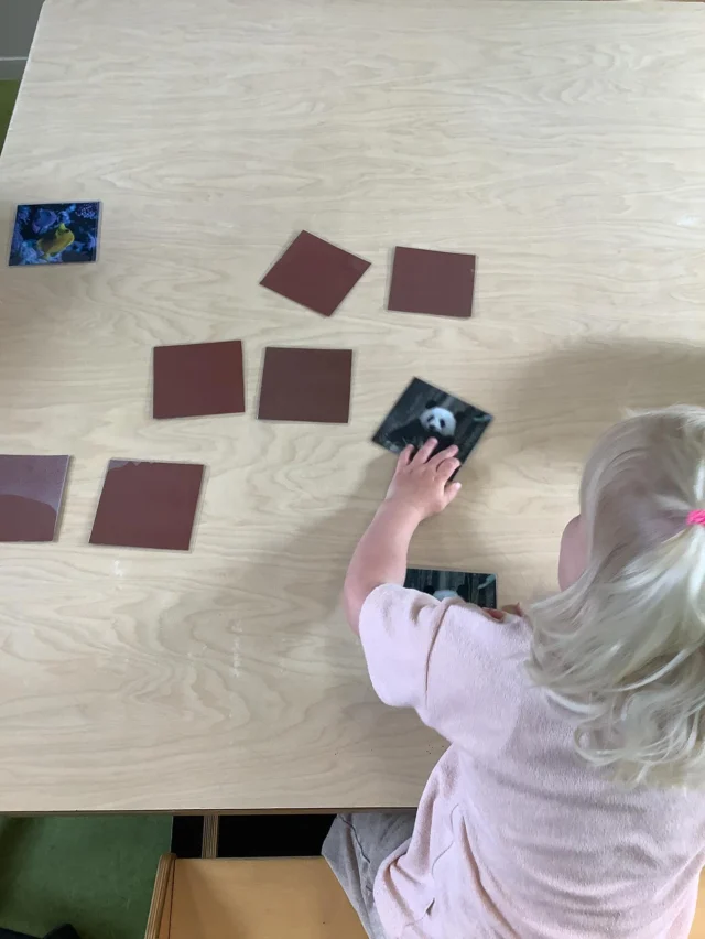 Thema: Dieren bij de Anna Paulownastraat🐾

De kinderen van de peutergroep gingen aan de slag met hun eigen memoryspel vol dierenplaatjes. Niet alleen goed voor het geheugen en de fijne motoriek, maar ook een feestje om samen te doen🧠💡

Zo wordt spelenderwijs leren echt leuk!

#themadieren #peutergroep #kleinalkmaar #memoryspel #spelenderwijsleren #fijnemotoriek #peuterpret