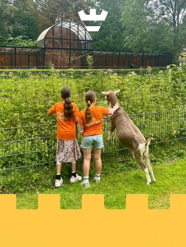Afgelopen week gingen de kinderen van BSO Anna Paulownastraat op ontdekking in de Alkmaarderhout 🌳

We renden, klommen en gleden in de speeltuin naast @stadsboerderijdehout en leerden hoe je een koe melkt nou ja, een nep-koe met echte uiers dus! 🐄

Van geitjes aaien tot hertjes voeren en chillen bij de kaboutertoestellen: dit is zo’n plek waar leren, spelen en natuur vanzelf samenkomen.

🌞 Zomervakantietip:
Gratis toegankelijk, volop dieren, schaduw onder de bomen en een speeltuin waar je je uren vermaakt.

Neem wat groente mee voor de hertjes, dan komen ze gezellig gedag zeggen aan het hek! 🦌

#kleinalkmaar #zomervakantietip #bsoavontuur #alkmaarderhout #speeltuinplezier #kinderboerderijfun #koemelken