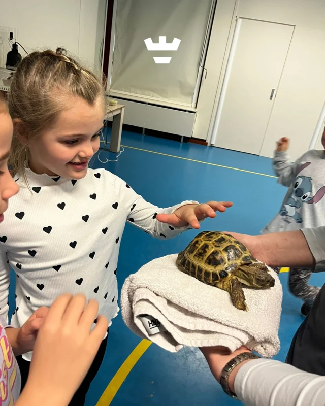 Herfstvakantie bij Klein Alkmaar 🍂

De kinderen van de BSO gingen afgelopen week op ontdekkingstocht:
-@dierdocent kwam langs met haar bijzondere (exotische) dieren 🐢 
-De kinderen knutselden hun eigen fantasiewereld in een kijkdoos 👀
-Volle focus tijdens een ontspannen yogales van @dansstudiodagmar 🧘‍♂️
-En we gingen op stap met @bosw8er.nl Evert-Jan 🌲

Het was een heerlijke week 💛