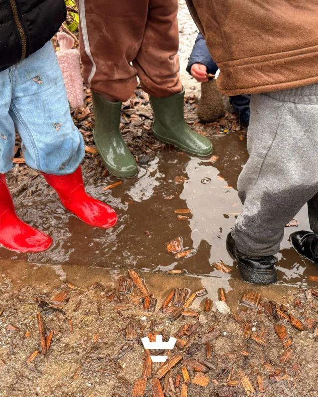 Een beetje regen houdt ons niet tegen 😉

De kinderen van de verticale groep aan de Heilooërdijk sprongen in alle plassen die ze tegenkwamen 🌧️