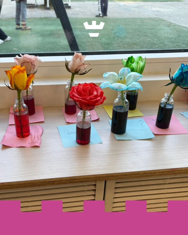 BSO Drechterwaard is dol op het uitvoeren van experimenten. Deze keer gingen we aan de slag met bloemen 🌷

We mengden kleurstof met water en deden dit in kleine flesjes. Daarna verwijderden de kinderen voorzichtig de blaadjes van de steel en plaatsten de bloemen in het gekleurde water.

En toen begon het wachten… 👀 Langzaam zagen we de bloemen van kleur veranderen. Wat een spektakel!