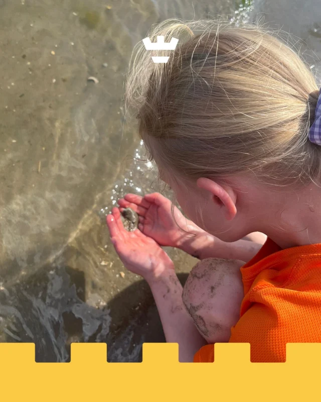 Deze week laat de zon zich wat minder zien 🌦️, maar gelukkig kunnen we nog nagenieten van het heerlijke zomerweer van vorige week!

De kinderen van BSO Olympiaweg genoten van een heerlijke middag bij het strand van Luna. Daar werd volop gespeeld met water en zand. Met vieze handen en natte voeten werd er eindeloos ontdekt en geëxperimenteerd 🏖️💦

Ook op de vestiging zelf was er volop waterpret. Er werd buik gegleden over een zeil vol sop en water, door de sproeier gerend en vooral heel veel gelachen 😄